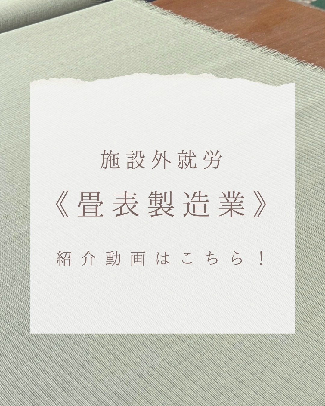 い草・畳表製造